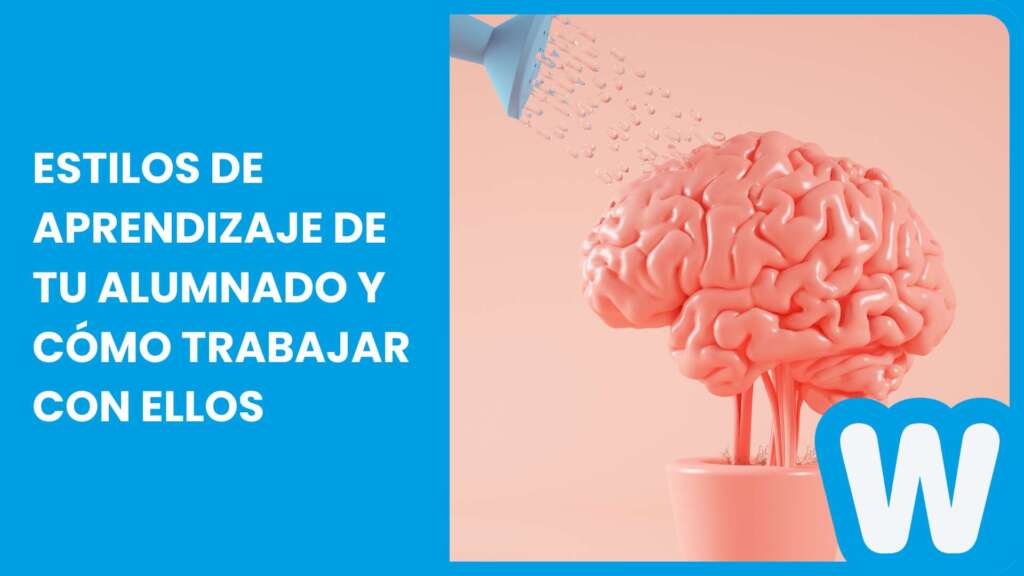 Estilos de aprendizaje de tu alumnado y cómo trabajar con ellos