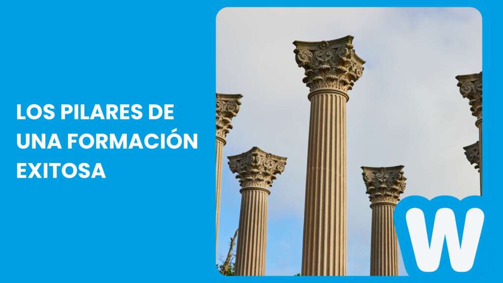 Los pilares de una formación exitosa